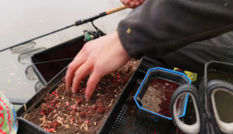 Хит ноября: прикормка из чеснока, от которой карась теряет осторожность