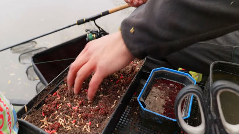 Хит ноября: прикормка из чеснока, от которой карась теряет осторожность