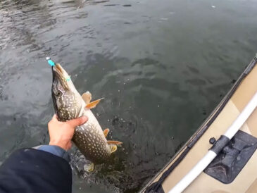 Нужно ли переходить на сверхлегкие веса (1-3 грамма) при джиговой ловле на больших глубинах (8-12 м) для максимального зависания приманки?