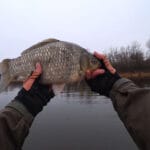 Карпятники подвели итоги осеннего сезона: где ловили и на что клевал трофейный карп