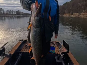 Какие размеры рыбы разрешено ловить в 2026 году: полные нормы