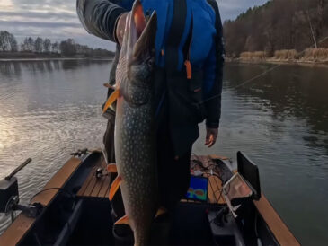 Минимальные размеры рыбы в 2026 году: что важно знать рыболовам