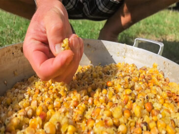 Кефір та кукурудза - вибуховий дует для коропа: прикормка, що творить дива