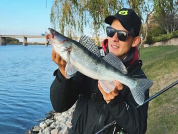 Кльов на Самарі: судак та окунь активні біля Дніпра