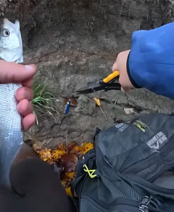 Названо найкращі кольори приманок на жереха в листопаді