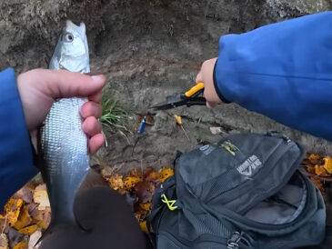 Названо найкращі кольори приманок на жереха в листопаді