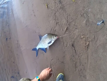 Короткий плетеный поводок на донке "Крокодил" творит чудеса