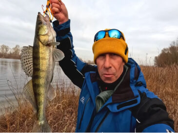 Пассивный судак по холодной воде: меняем «ступеньку» на волочение, чтобы уйти от нуля