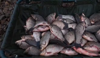 Лучшая насадка из макарон на карася и леща - рецепт, который работает