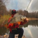 Порвете жилку або зламаєте квівертип: головна помилка при кліпсуванні фідера