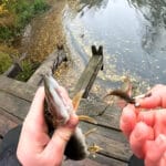 Зробите за 5 хвилин і обловите сусідів: уловистий “рачок” зі шматка гуми