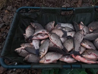 Найкраща насадка з макаронів на карася та ляща - рецепт, що працює