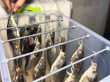 Найкраща сушарка для риби: зробите так – забудете про мух назавжди