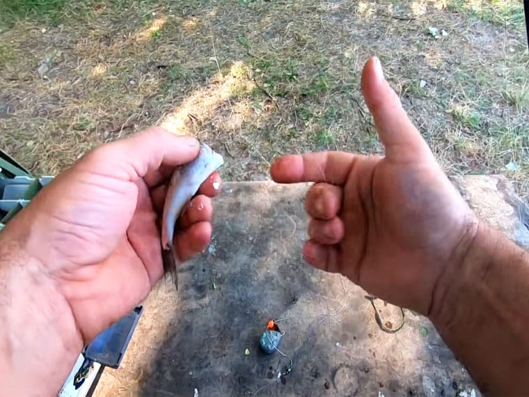 Найкращий монтаж на судака своїми руками: схема збірки для течії