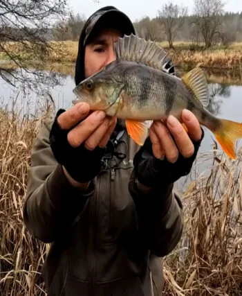 osinnij-ultralajt-lovlya-okunya-na-rakiv