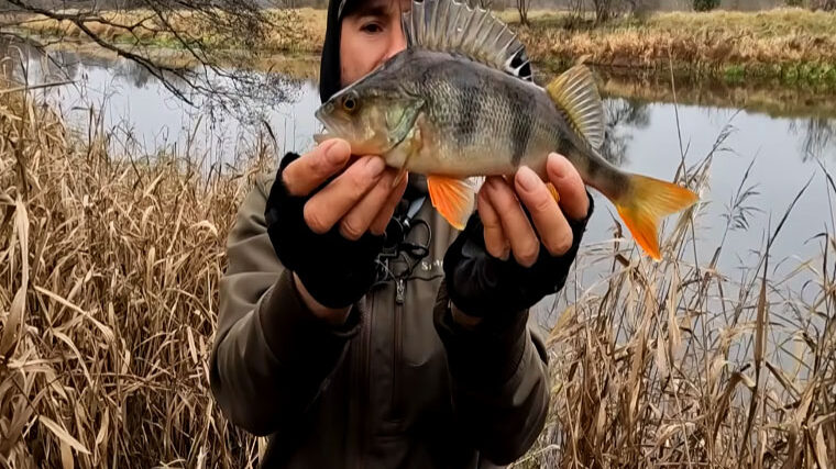 osinnij-ultralajt-lovlya-okunya-na-rakiv