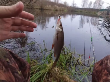 Оснащення вудки на плотву для холодної води: робочий лайфхак