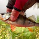 Пошаговый лайфхак, как смазать спиннинговую катушку за несколько минут и продлить срок ее службы