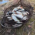 Нужно ли переходить на сверхлегкие веса (1-3 грамма) при джиговой ловле на больших глубинах (8-12 м) для максимального зависания приманки?