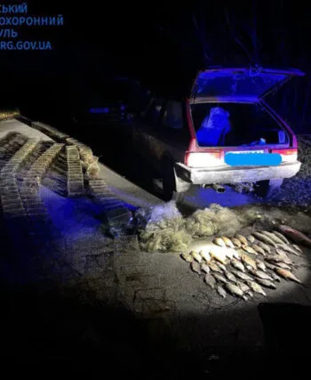 Риболовля на 248 тисяч: під Києвом затримали порушника з сітками