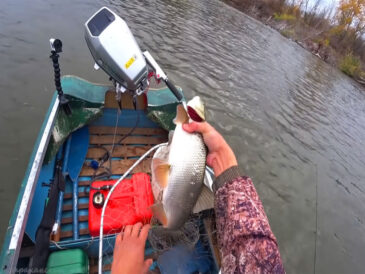 Приманки для жереха в листопаді: дані рибалок