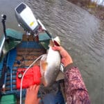 Хищник будет атаковать, даже если сыт: копеечный «секрет» для осеннего силикона, который заменит аттрактант