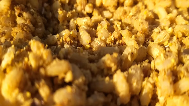 Колір, запах, смак - три секрети чарівної перловки, яка робить риболовлю трофейною