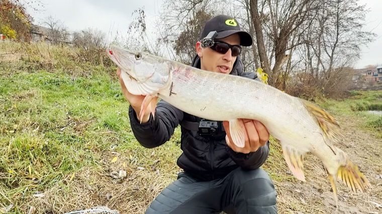 Рыбалка в Виннице: 5 трофейных щук за час на платном водоеме