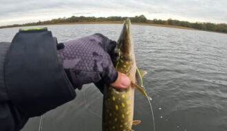 Секретна проводка коливалки на щуку: лайфхак з паузою