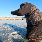 Сарган еще в деле: одессит нашел активного хищника в конце ноября (видео)