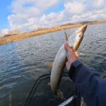 Риболовля на 248 тисяч: під Києвом затримали порушника з сітками та раколовками