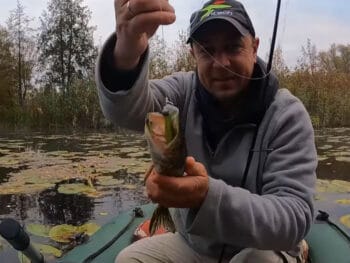 Щука восени: силікон чи воблер - підсумки батлу 21:0