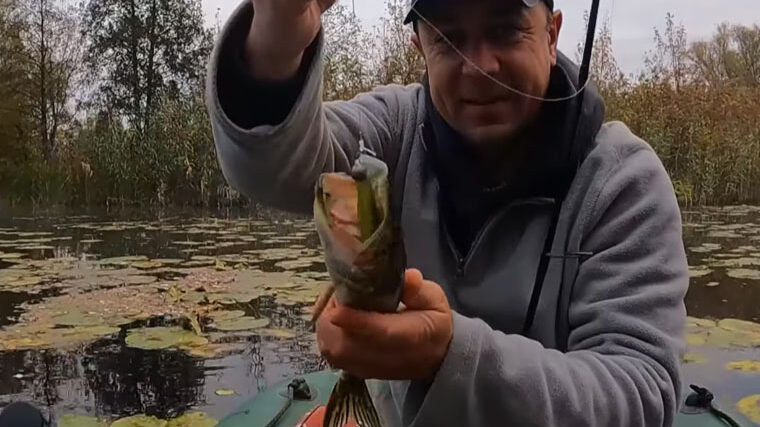 Щука восени: силікон чи воблер - підсумки батлу 21:0