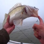 «Попал на четкий выход»: винницкий рыбак вытащил 5 трофейных щук за час (видео)