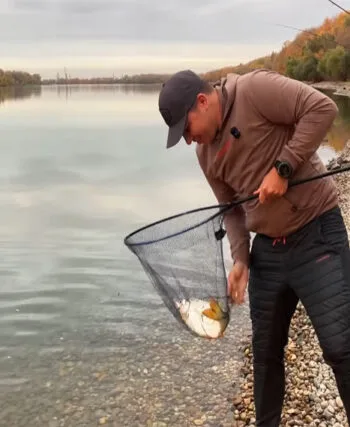 Трофейна плотва на Дунаї: осіння фідерна риболовля