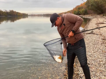 “Оце так розмір”: рибалка впіймав на Дунаї 2-кілограмову плотву-“монстра” (відео)