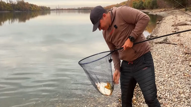 Трофейна плотва на Дунаї: осіння фідерна риболовля