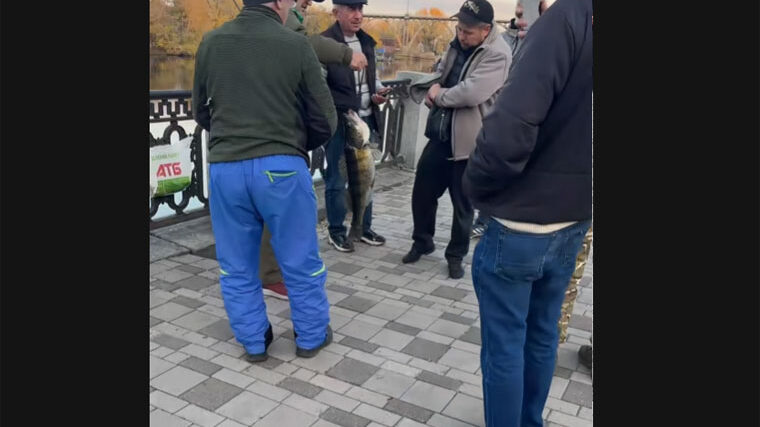 Великого судака спіймали на Дніпрі: обговорення розгоряється