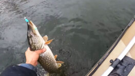 Як ловити на джиг для максимального зависання приманки?