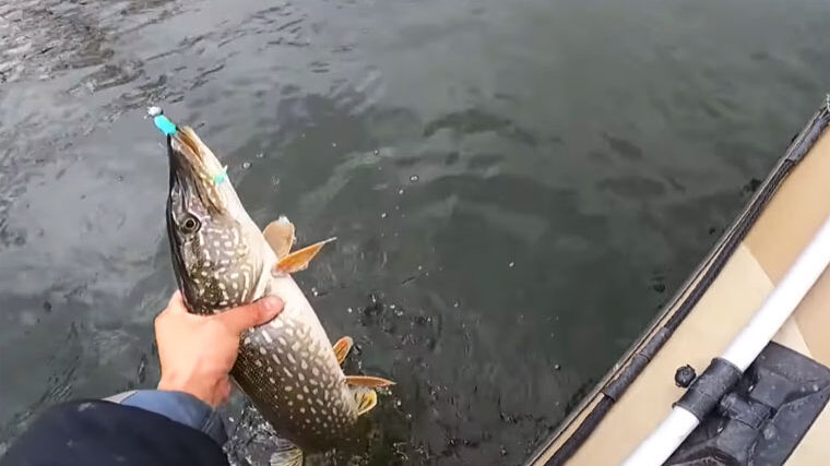 Як ловити на джиг для максимального зависання приманки?