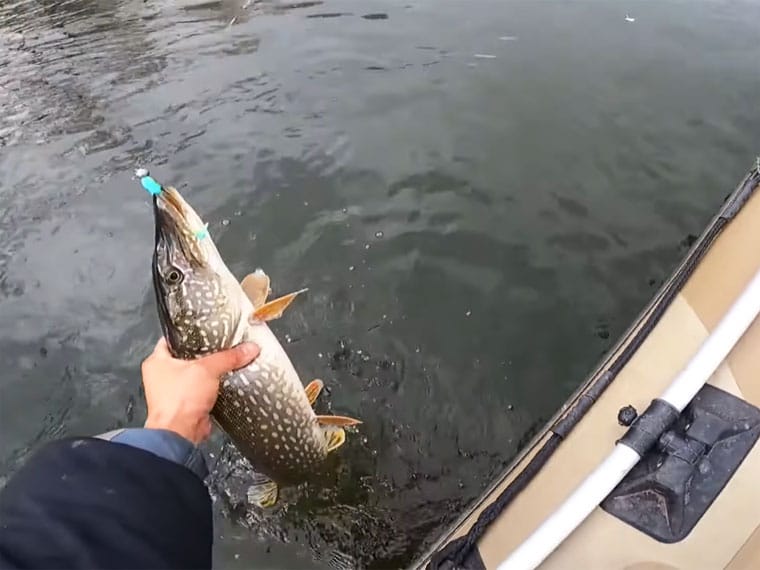 Як ловити на джиг для максимального зависання приманки?