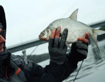 Експерти розповіли, як вибрати фідер для зимових умов лову