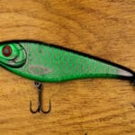 Сім видів риб, які можна ловити без обмежень у 2026 році: офіційне роз’яснення