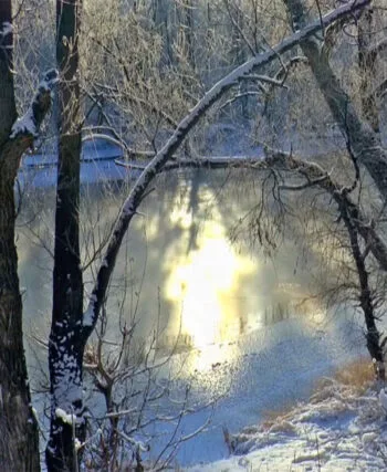Заборона на зимувальні ями: правила, ризики та поради