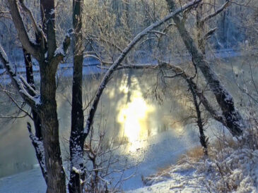Заборона на зимувальні ями: правила, ризики та поради