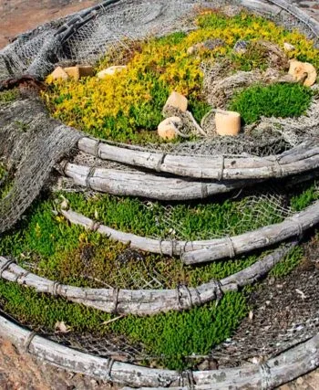 Риболовля 2026: повний список заборонених знарядь лову