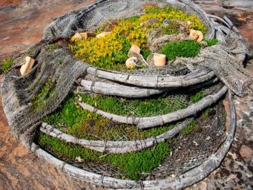 Риболовля 2026: повний список заборонених знарядь лову