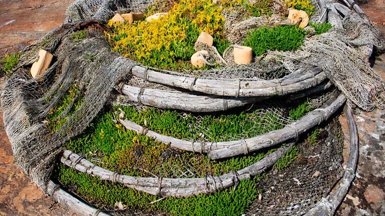 Риболовля 2026: повний список заборонених знарядь лову