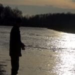 Плотва на фидер осенью: как подобрать кормушку и насадку в ноябре