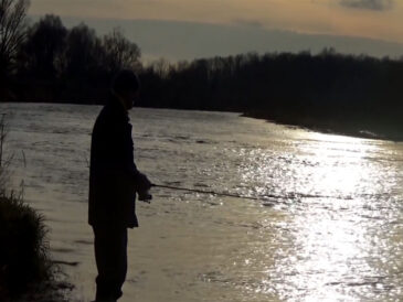 Зимувальні ями в Києві 2025-2026: карта заборонених місць